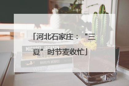 河北石家庄：“三夏”时节麦收忙
