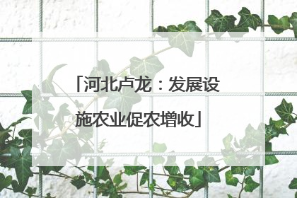 河北卢龙：发展设施农业促农增收