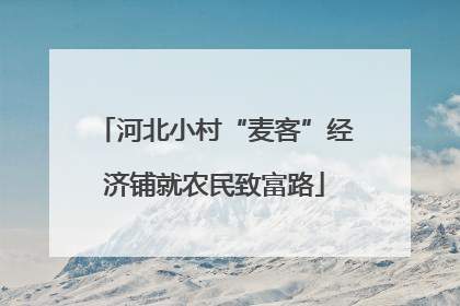 河北小村“麦客”经济铺就农民致富路