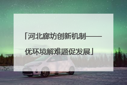 河北廊坊创新机制——优环境解难题促发展