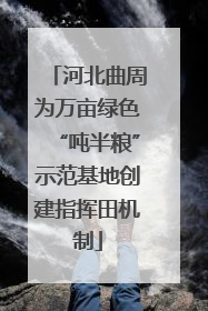 河北曲周为万亩绿色“吨半粮”示范基地创建指挥田机制