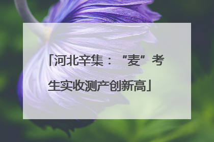 河北辛集：“麦”考生实收测产创新高