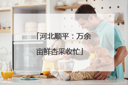 河北顺平：万余亩鲜杏采收忙