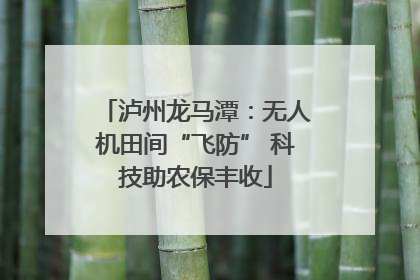 泸州龙马潭：无人机田间“飞防” 科技助农保丰收