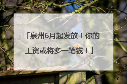 泉州6月起发放！你的工资或将多一笔钱！