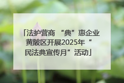 法护营商 “典”惠企业 黄陂区开展2025年“民法典宣传月”活动