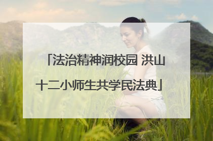 法治精神润校园 洪山十二小师生共学民法典