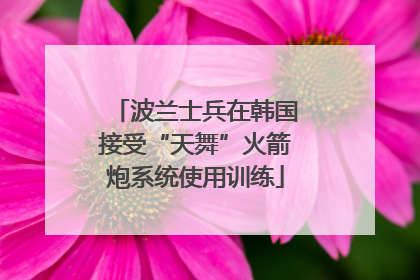 波兰士兵在韩国接受“天舞”火箭炮系统使用训练