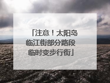 注意！太阳岛临江街部分路段临时变步行街