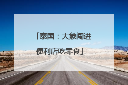 泰国：大象闯进便利店吃零食