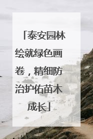 泰安园林绘就绿色画卷，精细防治护佑苗木成长