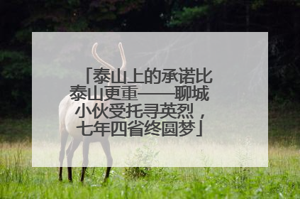 泰山上的承诺比泰山更重——聊城小伙受托寻英烈，七年四省终圆梦