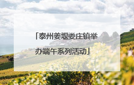 泰州姜堰娄庄镇举办端午系列活动