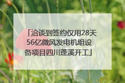 洽谈到签约仅用28天 56亿微风发电机组设备项目四川蓬溪开工