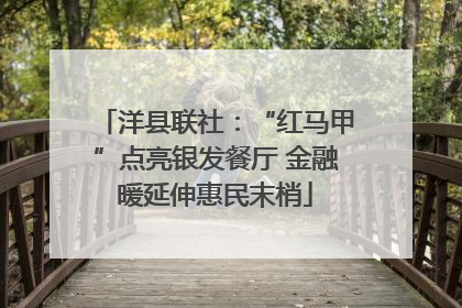 洋县联社：“红马甲”点亮银发餐厅 金融暖延伸惠民末梢