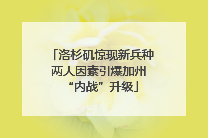 洛杉矶惊现新兵种 两大因素引爆加州“内战”升级