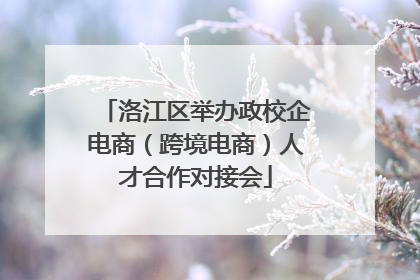 洛江区举办政校企电商（跨境电商）人才合作对接会