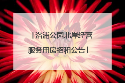 洛浦公园北岸经营服务用房招租公告