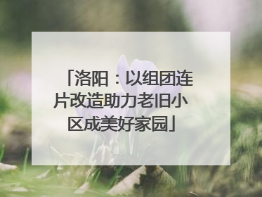 洛阳：以组团连片改造助力老旧小区成美好家园