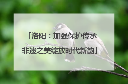 洛阳：加强保护传承 非遗之美绽放时代新韵