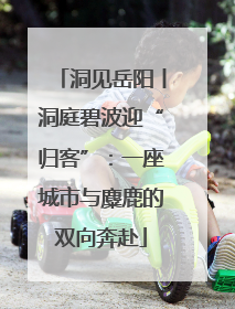 洞见岳阳丨洞庭碧波迎“归客”：一座城市与麋鹿的双向奔赴