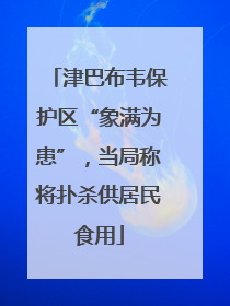 津巴布韦保护区“象满为患”，当局称将扑杀供居民食用