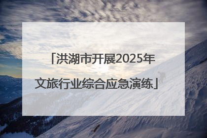 洪湖市开展2025年文旅行业综合应急演练