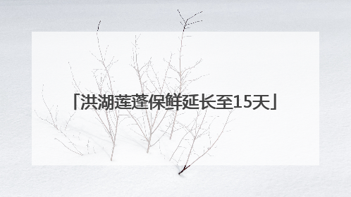 洪湖莲蓬保鲜延长至15天