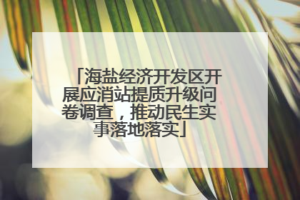 海盐经济开发区开展应消站提质升级问卷调查，推动民生实事落地落实