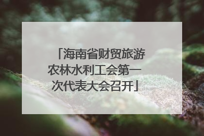 海南省财贸旅游农林水利工会第一次代表大会召开
