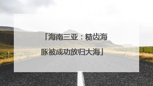 海南三亚：糙齿海豚被成功放归大海