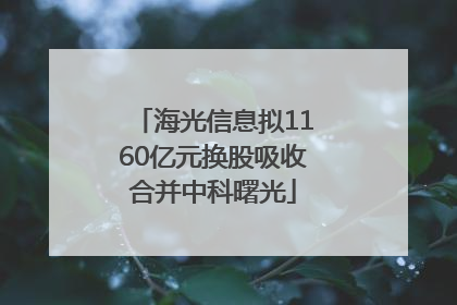 海光信息拟1160亿元换股吸收合并中科曙光