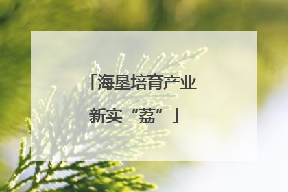 海垦培育产业新实“荔”