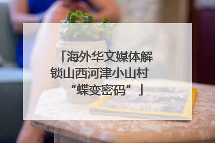 海外华文媒体解锁山西河津小山村“蝶变密码”