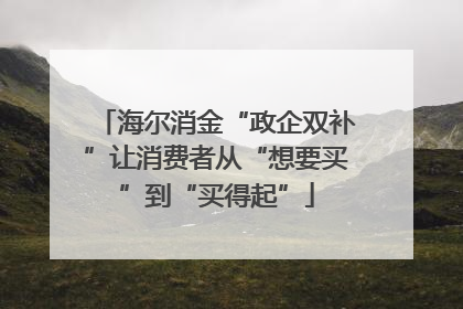海尔消金“政企双补”让消费者从“想要买”到“买得起”
