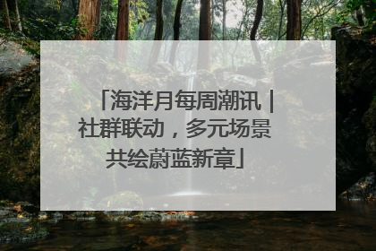 海洋月每周潮讯｜社群联动，多元场景共绘蔚蓝新章