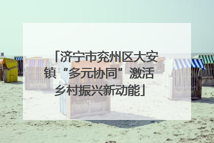 济宁市兖州区大安镇“多元协同”激活乡村振兴新动能