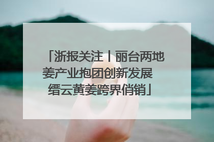 浙报关注丨丽台两地姜产业抱团创新发展 缙云黄姜跨界俏销