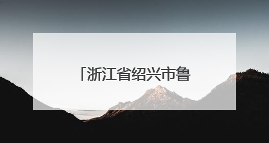 浙江省绍兴市鲁迅小学：学生在“孺子牛志愿服务”中历练成长