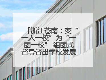 浙江苍南：变“一人一校”为“一团一校” 组团式督导督出学校发展加速度