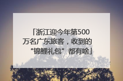 浙江迎今年第500万名广东旅客，收到的“锦鲤礼包”都有啥