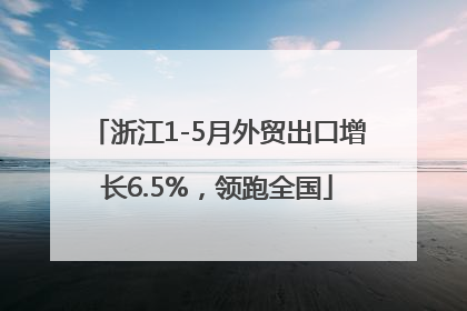 浙江1-5月外贸出口增长6.5%，领跑全国