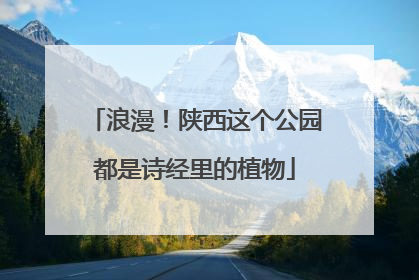 浪漫！陕西这个公园都是诗经里的植物