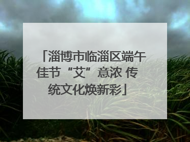 淄博市临淄区端午佳节“艾”意浓 传统文化焕新彩