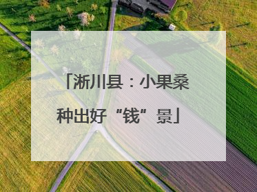 淅川县：小果桑种出好“钱”景