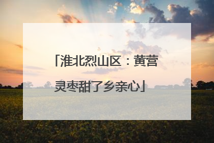 淮北烈山区：黄营灵枣甜了乡亲心