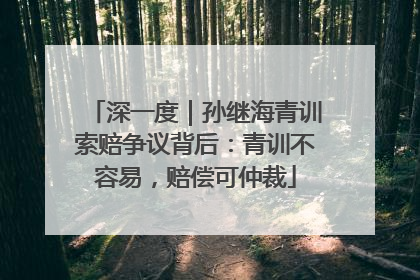 深一度｜孙继海青训索赔争议背后：青训不容易，赔偿可仲裁
