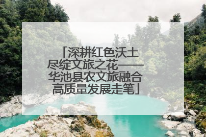 深耕红色沃土 尽绽文旅之花——华池县农文旅融合高质量发展走笔