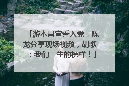 游本昌宣誓入党，陈龙分享现场视频，胡歌：我们一生的榜样！