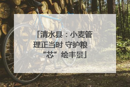 清水县：小麦管理正当时 守护粮“芯”绘丰景